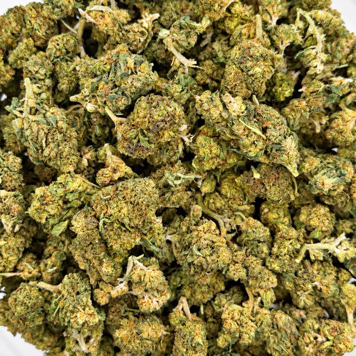 White Widow