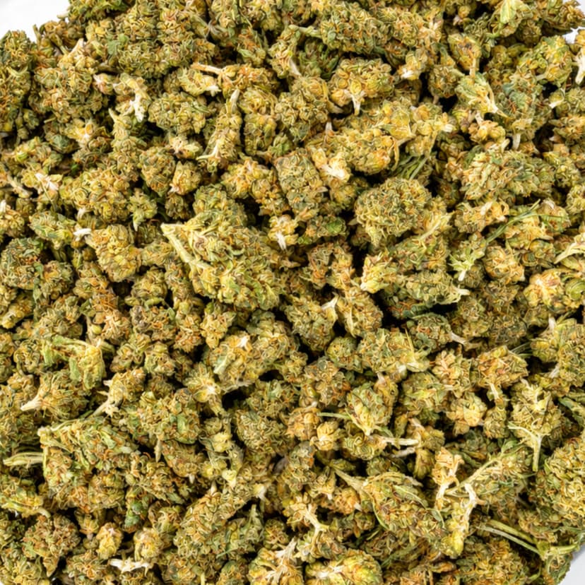 Small Buds GreenHouse