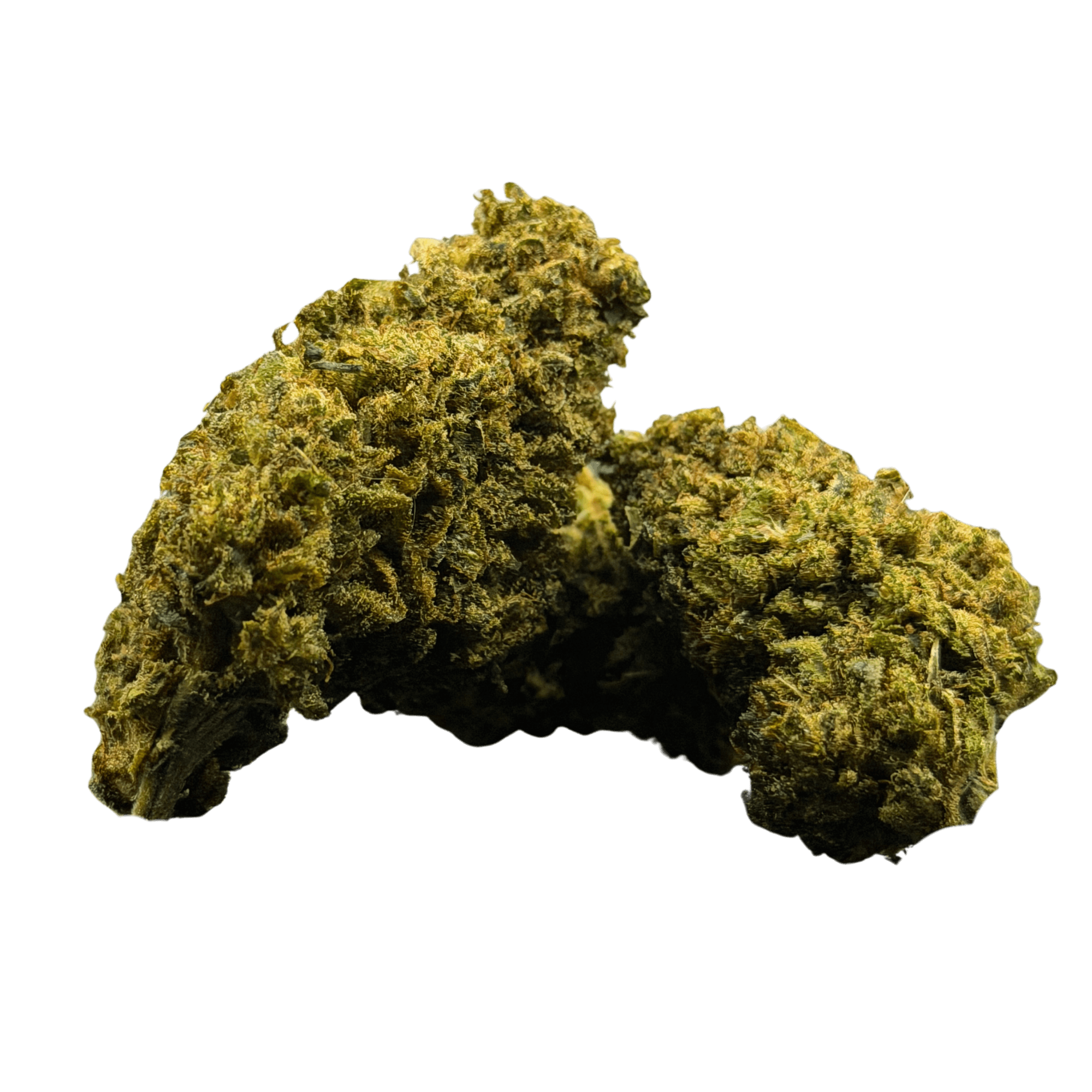 Gelato — nouveauté du drop d'octobre