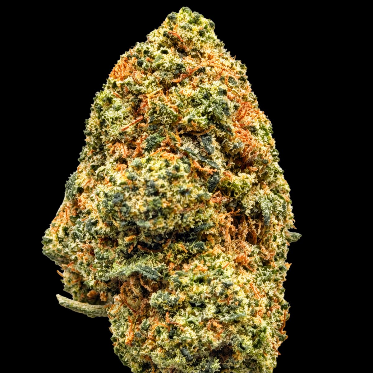 Zeus OG
