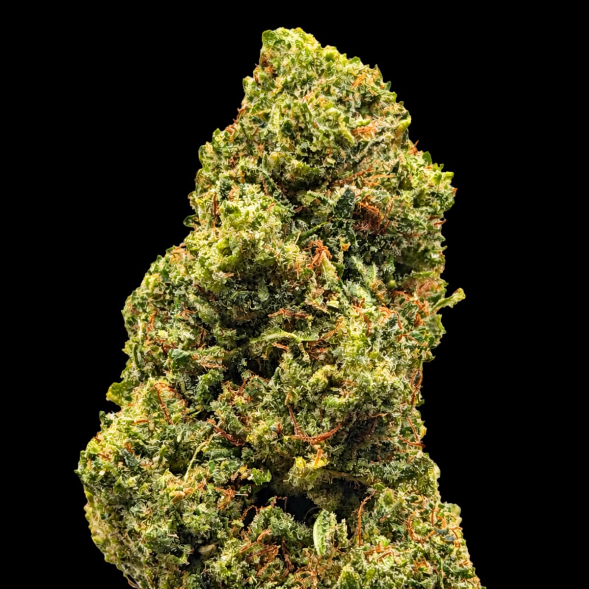 Super Silver Haze